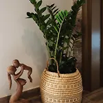 Apartment Lef