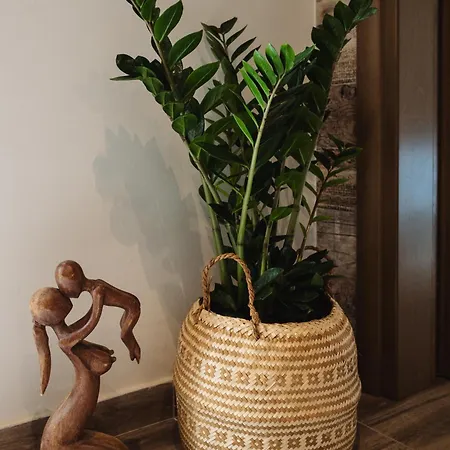 Apartament Lef